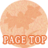 PAGE TOP