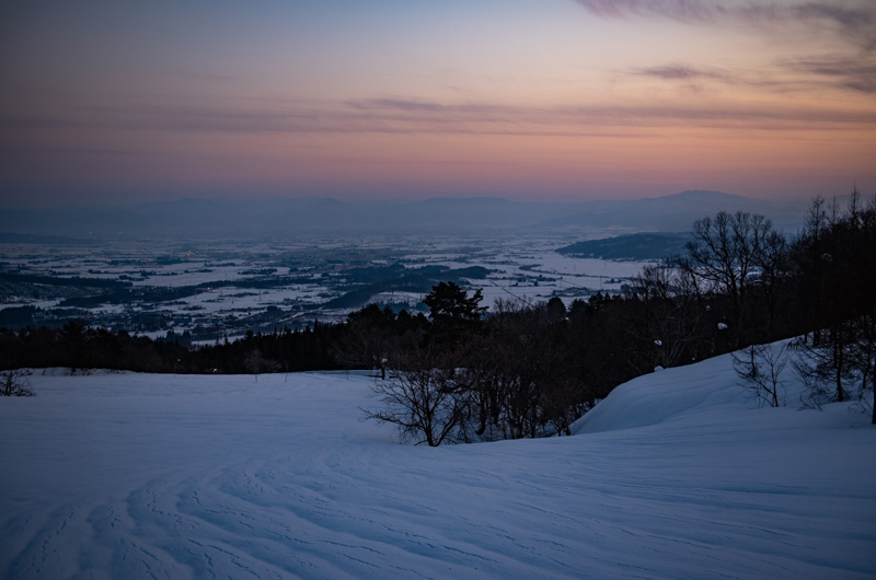 Sannokura Plateau Nanohana and Sunflower Fields