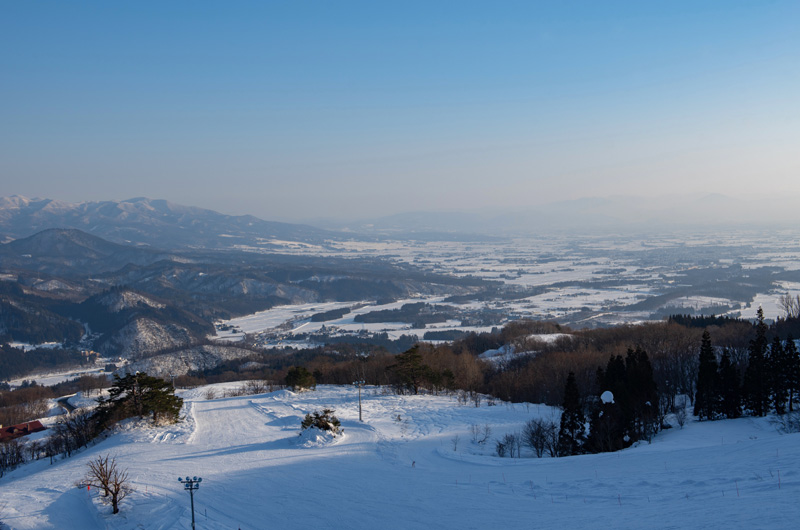 三之倉高原的油菜田園・向日葵田園